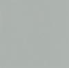Gray Vinyl Gate